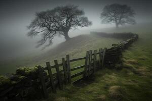 Foggy field with stone fence and trees photo