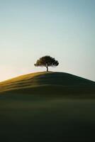 A lone tree on a hill in the middle of a field photo