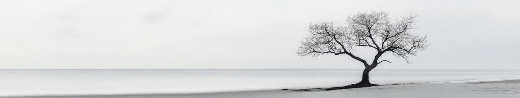 A lone tree stands on the shore of a lake photo