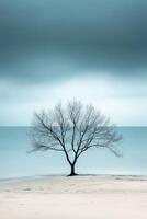 A lone tree stands on the beach under a cloudy sky photo