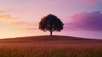 A lone tree stands on top of a hill in front of a purple sky photo