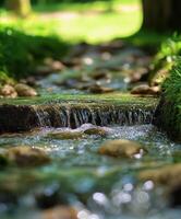 A stream flowing through a forest with grass and rocks photo