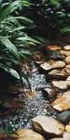 A stream of water flows through a garden photo