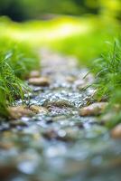 A stream of water flows through a grassy field photo