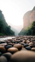 A river with rocks and trees in the background photo