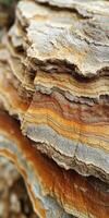 A close up of a rock with a colorful pattern photo
