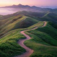 A dirt path winding through a green field photo
