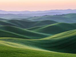 A large green field photo