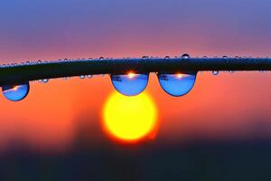Photograph dew drops by james kennedy on 500px photo