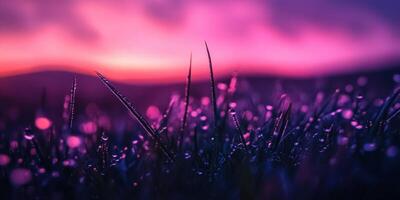 A purple sky with water droplets on grass photo