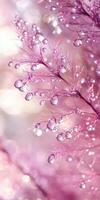 Water droplets on a pink plant with a blurred background photo