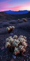 A desert landscape with a few plants and mountains photo