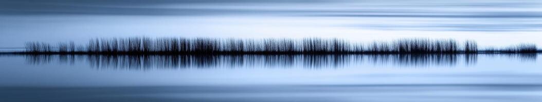 An abstract image of trees in the water photo