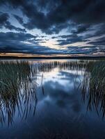 A lake with tall grasses and clouds reflected in it photo
