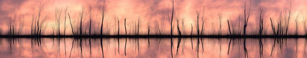 A pink sky with trees reflected in water photo