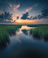 A beautiful sunset over the marshy water photo
