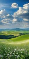 A beautiful green field with daisies and hills photo