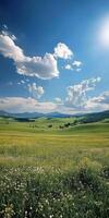 A field with flowers and grass under a blue sky photo