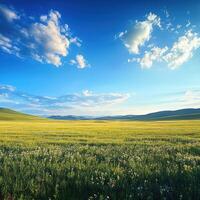 A field with grass and flowers under a blue sky photo