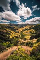 A scenic view of the hills and valleys of the pacific northwest photo