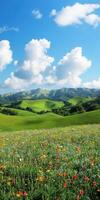 A field of wildflowers with hills in the background photo