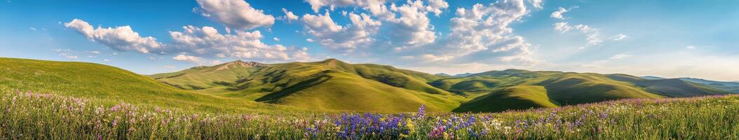 Beautiful landscape with flowers and mountains in the background photo