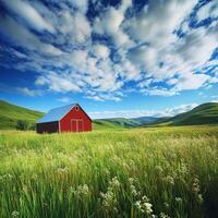 A red barn in a green field with blue skies photo
