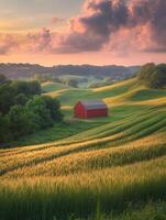 A red barn sits in the middle of a green field photo