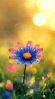 A single blue flower is standing in the grass with water droplets photo