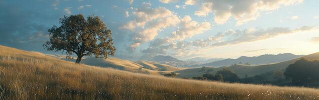 Serene landscape with golden fields photo