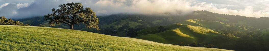 Rolling hills under morning clouds photo