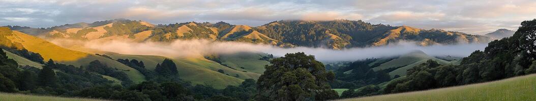 Morning fog blankets rolling hills photo