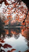 Autumn foliage reflecting in water photo