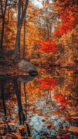 Autumn hues in calm pond photo