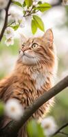 Beautiful cat gazing among flowers photo