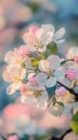 A close up of a tree with white and pink flowers photo