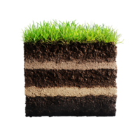 Soil, grass and soil on transparent background png
