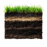 Soil and grass with soil on transparent background png