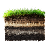 Soil layer with grass and soil on over transparent background png