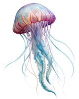 Soothing Jellyfish Floating With Elegant Tentacles in Transparent Background png