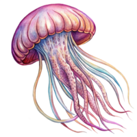 Deep Blue Jellyfish Floating With Soft Tentacles in Transparent Background png