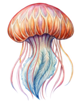 Enchanting Jellyfish With Delicate Floating Tentacles in Transparent Background png