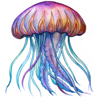 Delicate Oceanic Jellyfish Floating With Tentacles in Transparent Background png