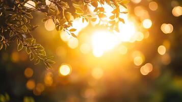 Warm Golden Soft Bokeh Effect Background A Radiant and Cozy Atmosphere photo