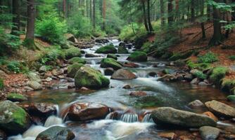 The ripples of time. the eternal path of water through rapids and rocks photo