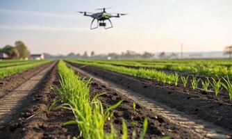 Algorithms sow crops. the role of drones in modern agricultural technologies photo