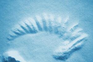 Bird wing mark on snow. Crow was cleaning its wings. Natural texture. Nature. Winter. photo