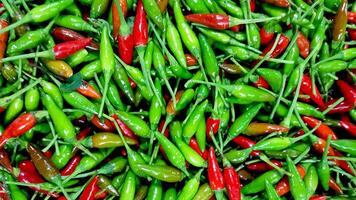 Fresh red and green chilli background. Healthy food. Fresh vegetables. photo