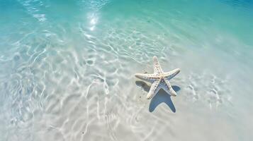 Amazing and beautiful underwater world with starfish on a sandy photo