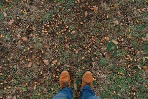 Men feet in brown shoes stand on fallen leaves in green grass. Cropped. Faceless photo